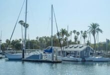 carolina sandoval s wealth overview