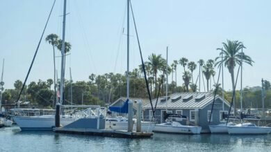 dustin hadley s wealth revealed