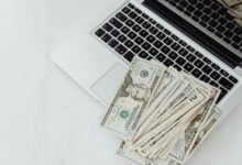 blippi s financial success forecast