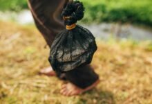 stevin john s blippi earnings