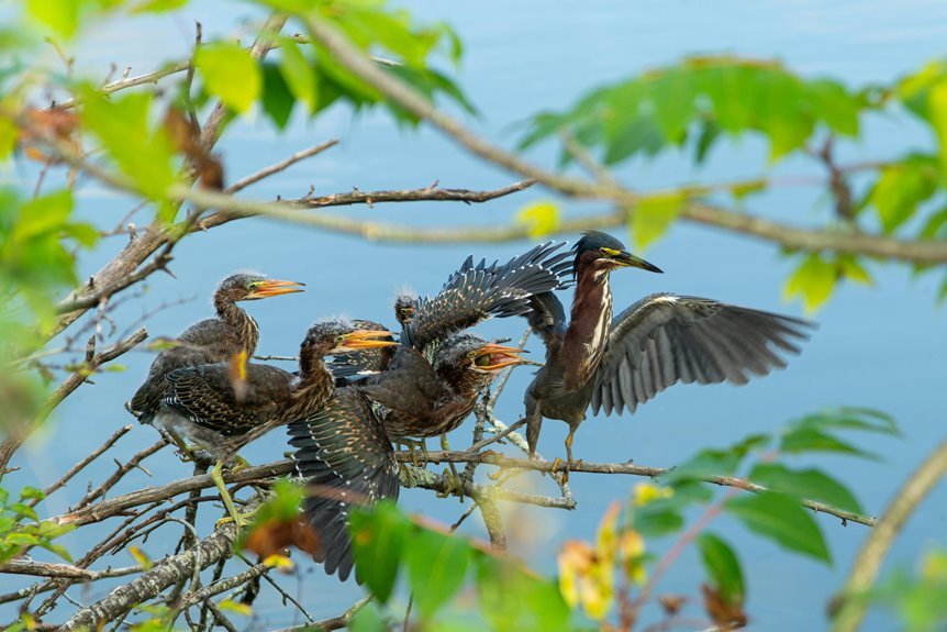 mobile call origins research