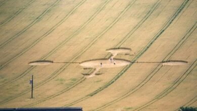 regional mobile call analysis