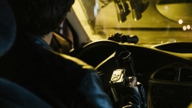 detailed record lookup portal