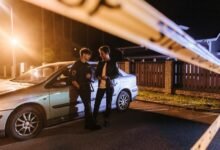 fraud detection number report