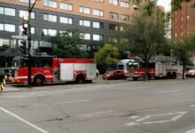 fraudulent number detection service